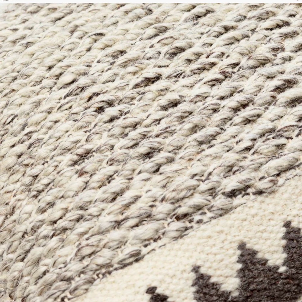 Indoor Outdoor Pillows from Wayfair with Cases and Down Pillow inserts (2 avail) - Picture 9 of 10